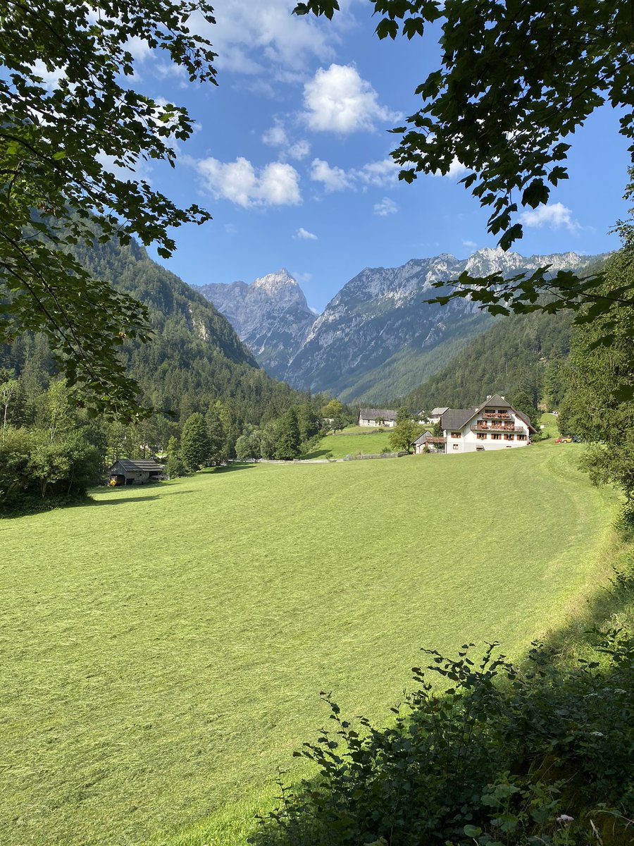 Creative iron tweet media