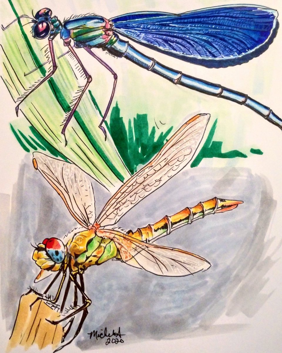 Michele Altenkirch tweet media