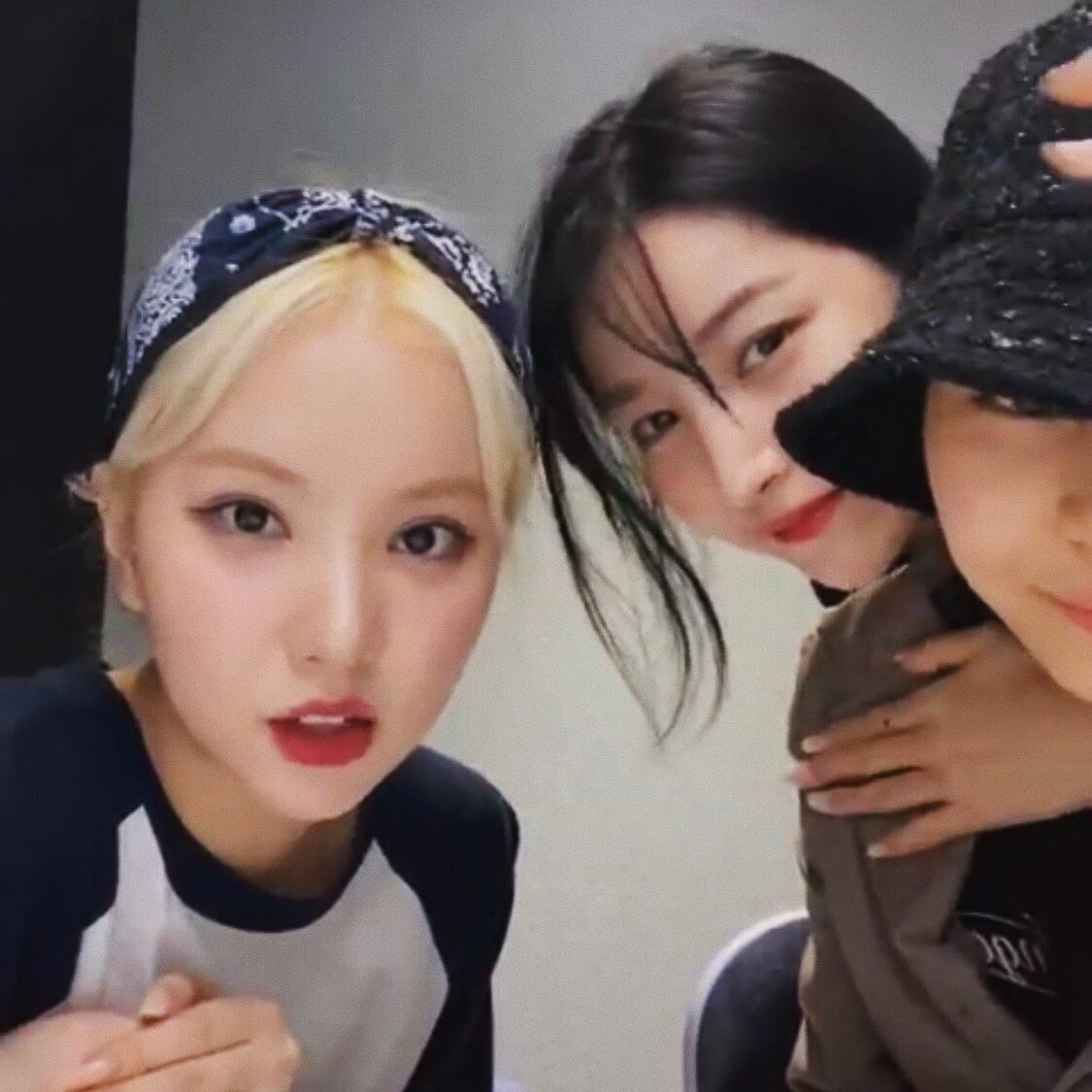 ksjupdates's tweet photo. 🦊🥰🐰🥰🐹🥰 https://t.co/qCQ9EclQrX