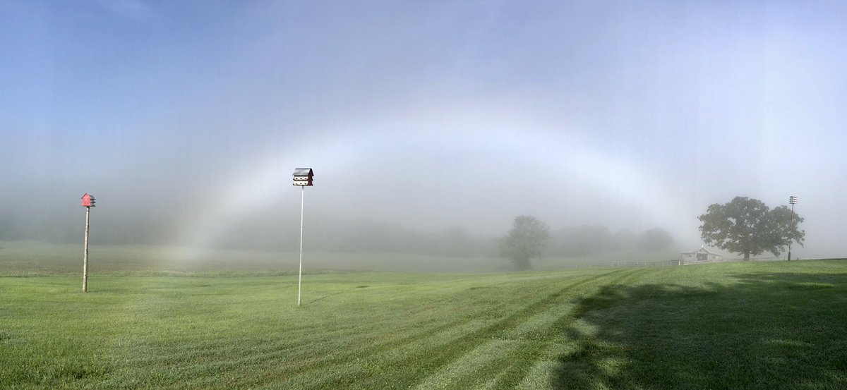 Tammi Elbert (@tammielbert) on Twitter photo FogBow from last week. Kind of funny because this is where I saw my first FogBow several years ago. Now I see them everywhere.
#fogbow #mowx <a href="/yourtake/">Your Take</a> <a href="/SteveTempleton/">Steve Templeton</a> @KMOVWeather <a href="/StormHour/">#StormHour</a> #NatureIsAmazing <a href="/weatherchannel/">The Weather Channel</a> FogBow from last week. Kind of funny because this is where I saw my first FogBow several years ago. Now I see them everywhere.
#fogbow #mowx <a href="/yourtake/">Your Take</a> <a href="/SteveTempleton/">Steve Templeton</a> @KMOVWeather <a href="/StormHour/">#StormHour</a> #NatureIsAmazing <a href="/weatherchannel/">The Weather Channel</a>