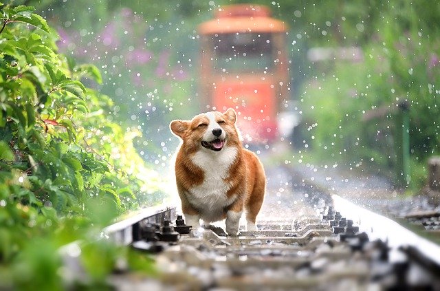 realrelaxmusic's tweet photo. Amazing raining sounds
📿📿
https://t.co/aeALW16xMg via @YouTube
📿📿
#naturesounds #rainingsounds #soundstosleep #soundstimeditate #meditation #meditacion #mindfulness #concentration #focus #desarrollopersonal #realrelaxmusic #realmusicrelax https://t.co/NtxQzkfmcG