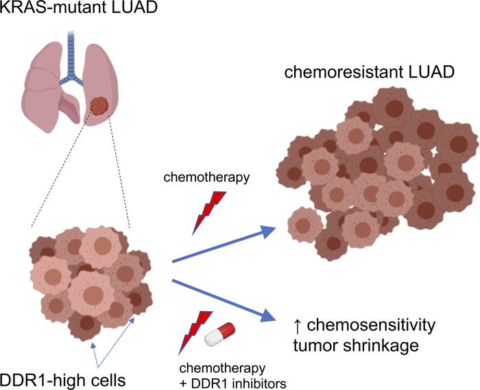 #ASCO20 | #PrecisionTherapy for #LungCancer Science Award recipient Dr. Pasi Janne  @DanaFarber Excellent work!
@OncoAlert @AnaVManana @tmprowell  @DrFerdowsi @NarjustDumaMD @g_mountzios @s_j_kearney @afmartinezc @sarahaboualaiwi @DrFloresAyala @MMarmarelis @JFreemanDaily