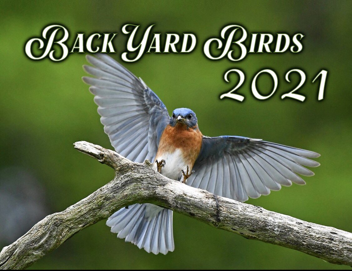 Tammi Elbert (@tammielbert) on Twitter photo Pre-Orders available at tammielbertphotography.com They will make great Christmas gifts!
#2021calendars #shopearly #birds #backyardbirds <a href="/birdsblooms/">Birds & Blooms</a> #birdcalendar #Calendar <a href="/NWF/">National Wildlife Federation</a> <a href="/yourtake/">Your Take</a> Pre-Orders available at tammielbertphotography.com They will make great Christmas gifts!
#2021calendars #shopearly #birds #backyardbirds <a href="/birdsblooms/">Birds & Blooms</a> #birdcalendar #Calendar <a href="/NWF/">National Wildlife Federation</a> <a href="/yourtake/">Your Take</a>