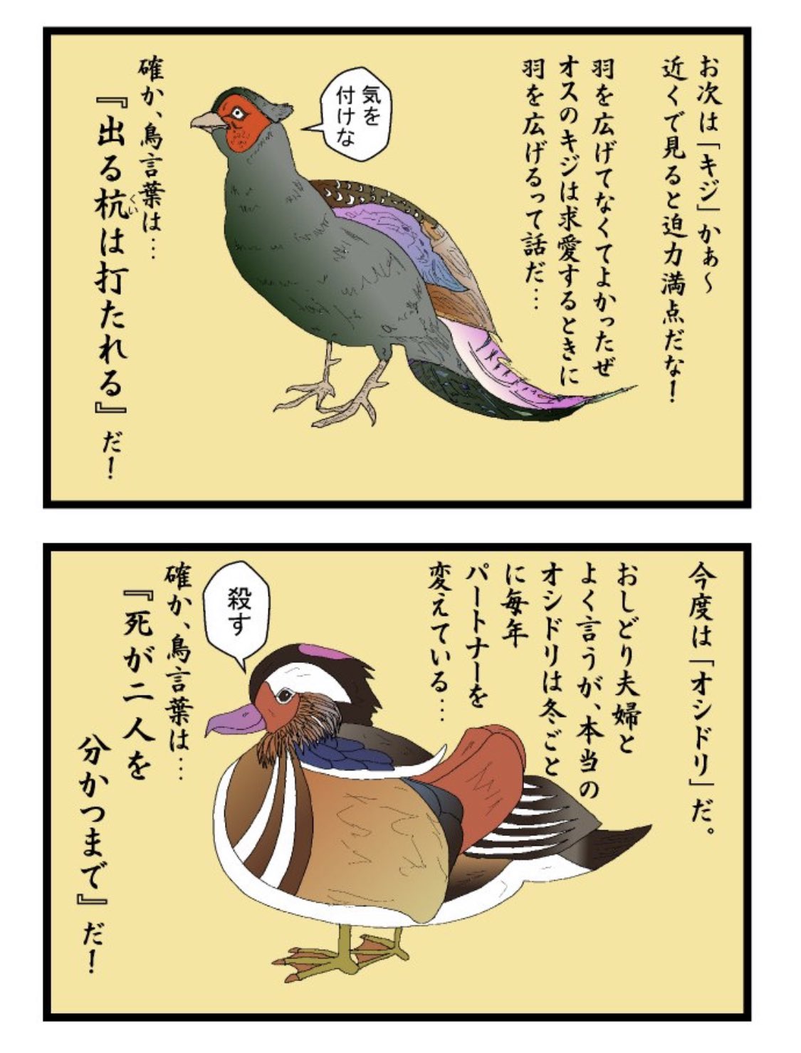 Clearface World ギャグマンガ ギャグ漫画 4コマ漫画 四コマ漫画 漫画家志望さんと繋がりたい イラスト好きな人と繋がりたい 絵 イラストレーター 漫画家志望 旅漫画 鳥 鳥言葉 ハーレーダビッドソン ハーレー乗りと繋がりたい ストリート