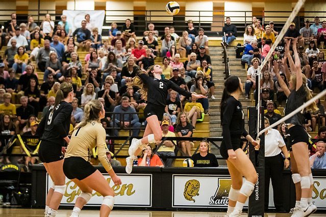 Press Pass Sports tweet media