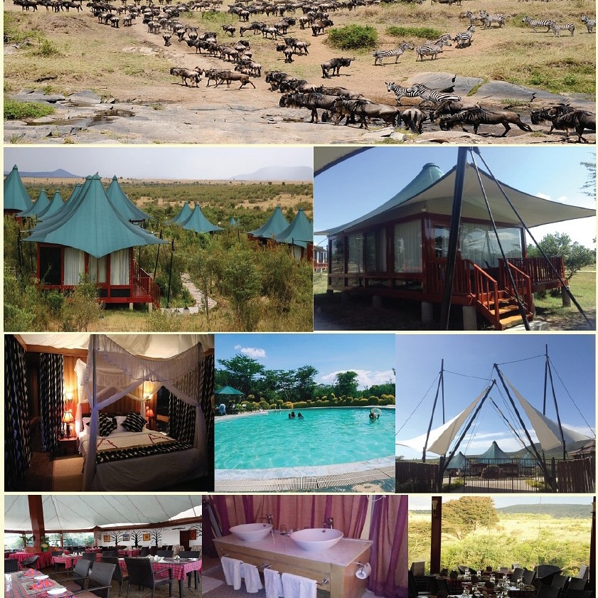 SmartviewSafar1's tweet image. Twende  masai mara and let have fun