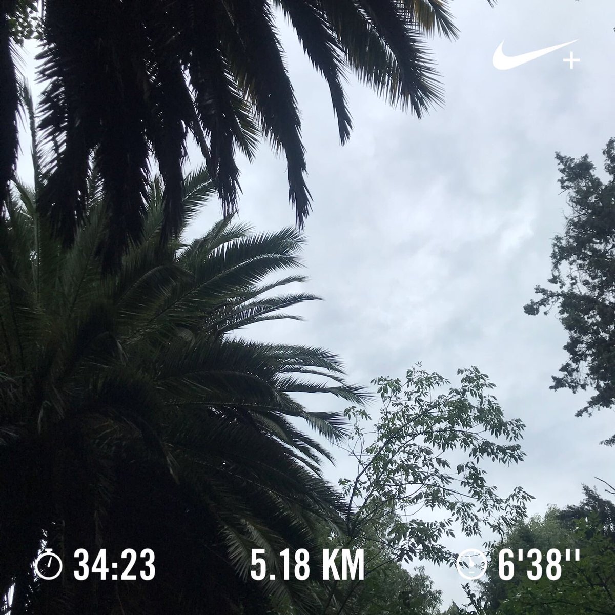 Marinnaldi's tweet photo. Esta semana solo entrené cuatro días no rebasé 6:45 minutos por km lo que significa que mejoré un minuto a la semana que inicié el entrenamiento 👏🏻✨
#YoElegíCorrer #YouCantStopTheRun #ImRunner https://t.co/RnejD6OLHD