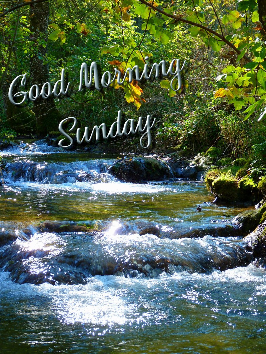 MtLakes's tweet photo. Good morning Sunday! It's a beautiful day to enjoy a cup of coffee and relax while taking in the beauty of nature! 🏕☕
#mtlakes #mtnlakes https://t.co/9HbWCQXkgD