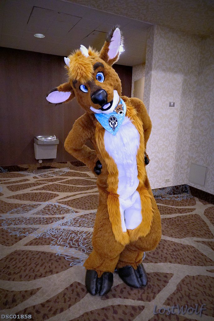 LostWolf321's tweet photo. Happy birthday @BuckleyDeer!!!πππ
π·@BiggestLittleFC #BLFC2016 #BLFC16 https://t.co/Yx8qUxCYvi