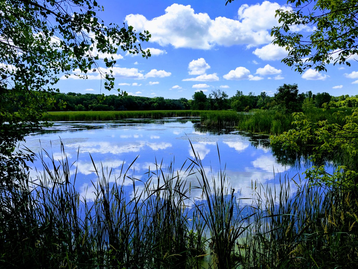 NorthStarFlagMN's tweet photo. From the beginning, natives and newcomers have marveled at this land of “sky-tinted waters,” that all have called #Minnesota – our North Star. #NorthStarFlag #MniSota (Nature Photo: Ben Kressel, a peaceful summer sky over Woodlake Nature Center, Richfield.) https://t.co/hXpsYmDHlt