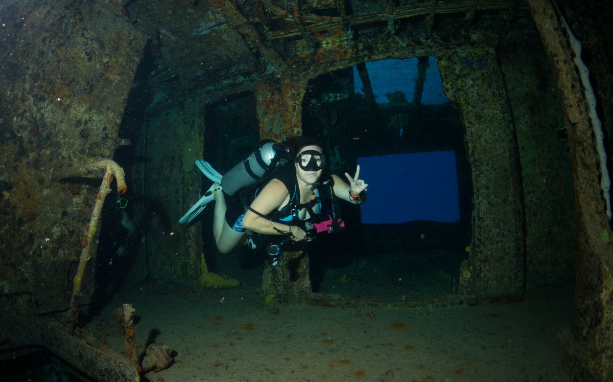 DiveParadise_Cozumel tweet media