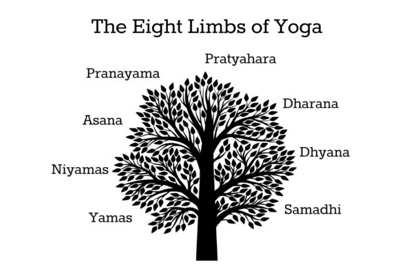 alt_script's tweet photo. In Patanjali's Yoga Sutra, the eightfold path is called ashtanga, which literally means "eight limbs" These eight steps basically act as guidelines on how to live a meaningful and purposeful life.
#patanjali #eightlimbs #yoga #ashtanga #yoga #lifeofyogi #yogais life https://t.co/JKOfVzio27
