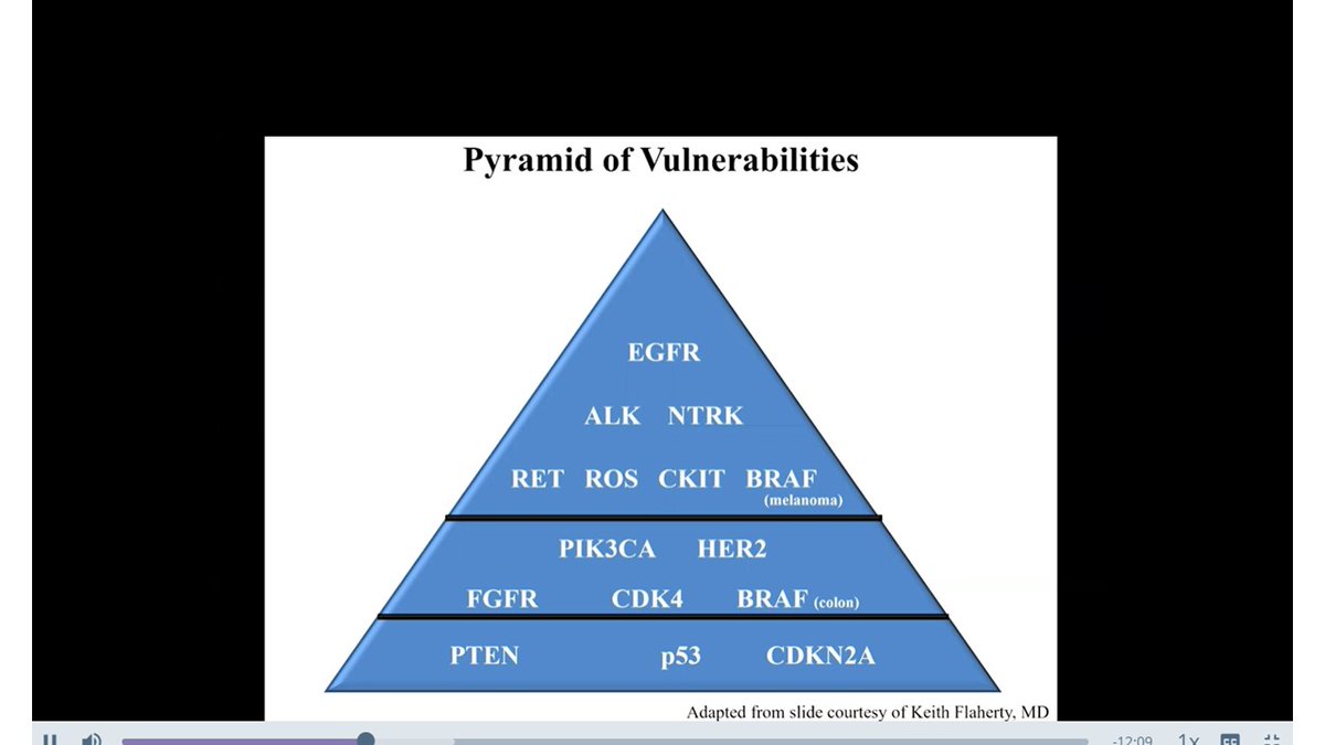 ShaalanBeg's tweet image. Great summary of actionable mutations in Cholangiocarcinoma by Dr Lipika Goyal @MGHCancerCenter 
#ASCO20 
Many alterations in GI cancers are 'middle of the vulnerability pyramid' mutations, but tremendous progress in cholangio! 
so much more work to do!
#hpbsm #pancsm #ASCO20
