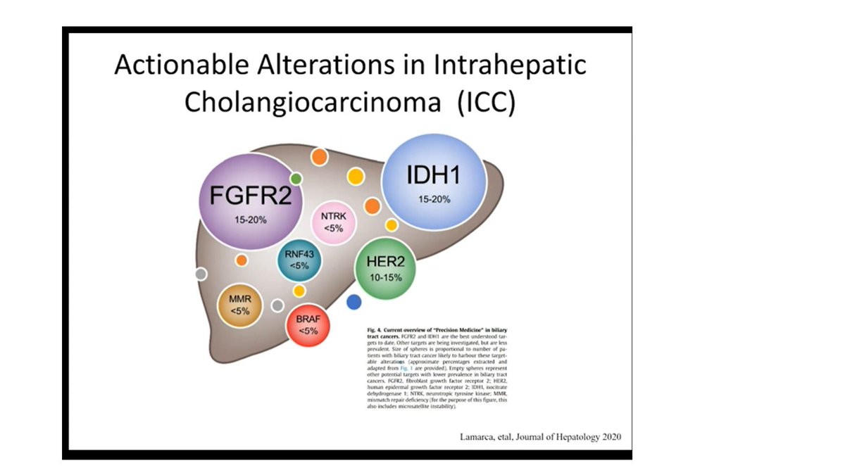 ShaalanBeg's tweet image. Great summary of actionable mutations in Cholangiocarcinoma by Dr Lipika Goyal @MGHCancerCenter 
#ASCO20 
Many alterations in GI cancers are 'middle of the vulnerability pyramid' mutations, but tremendous progress in cholangio! 
so much more work to do!
#hpbsm #pancsm #ASCO20