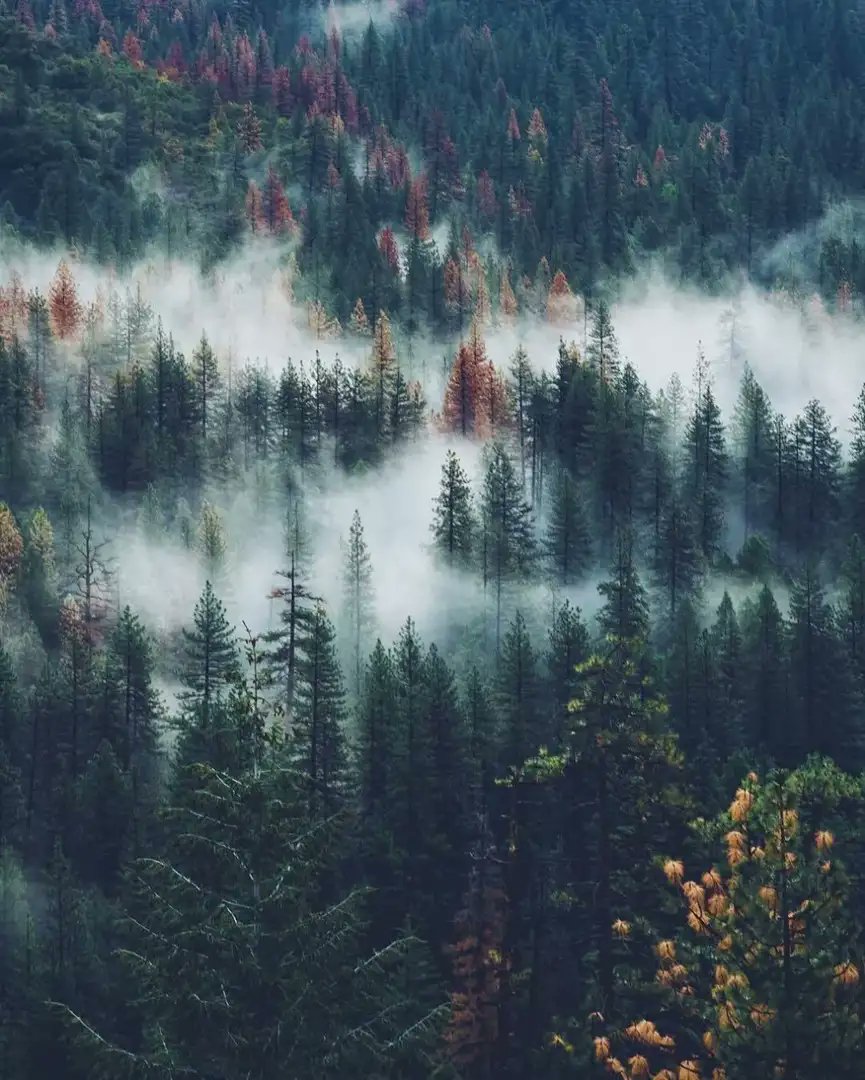 KeepForest's tweet photo. -Ты будешь нужен мне больше, чем я тебе. Это не честно! 
•
•
•
«Любовь и другие лекарства» https://t.co/85kdgBULBp