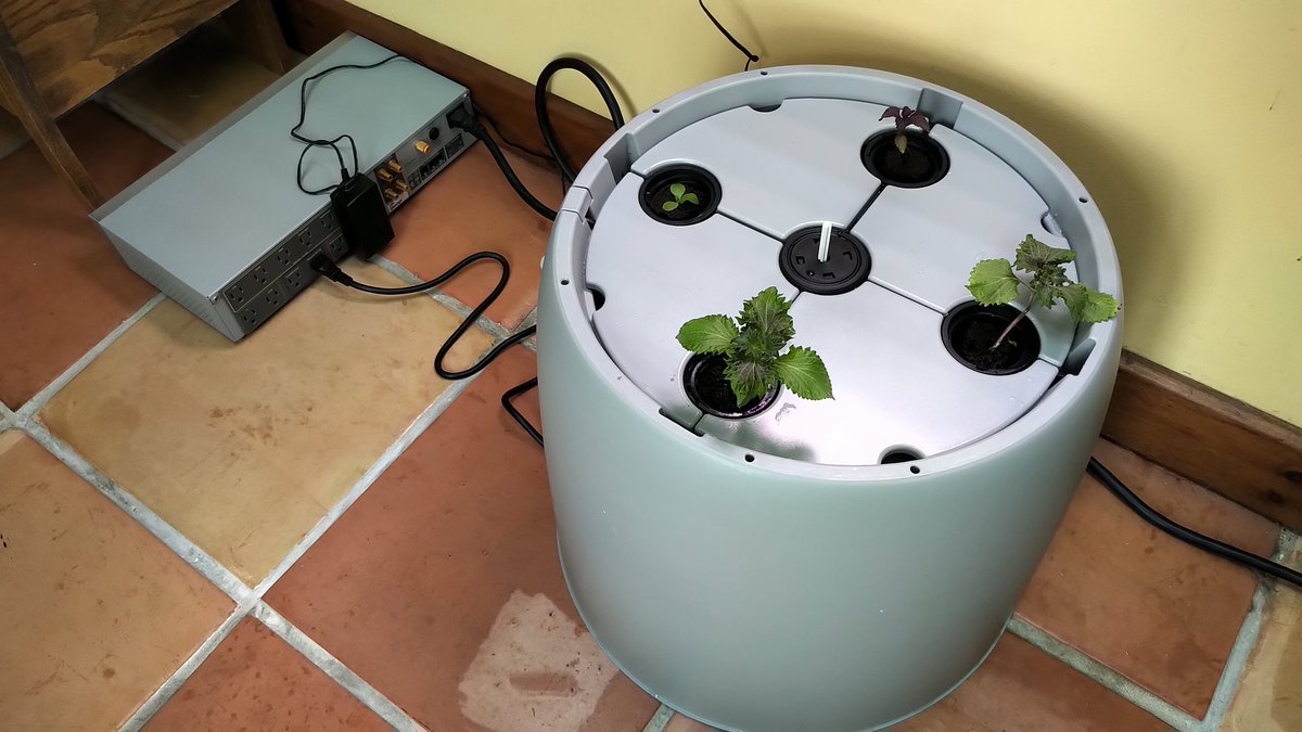 GreatRootBear's tweet photo. Just transplanted Shiso and one Boston Lettuce seedling.

And yes... that's the power conditioner from my music studio.

Next step: building my own system now that I've got a handle on the basics.

#RootFarm https://t.co/UZktaPCrL6