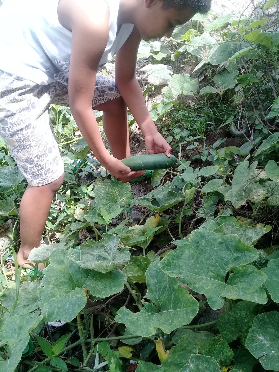 NelsonUrango tweet picture