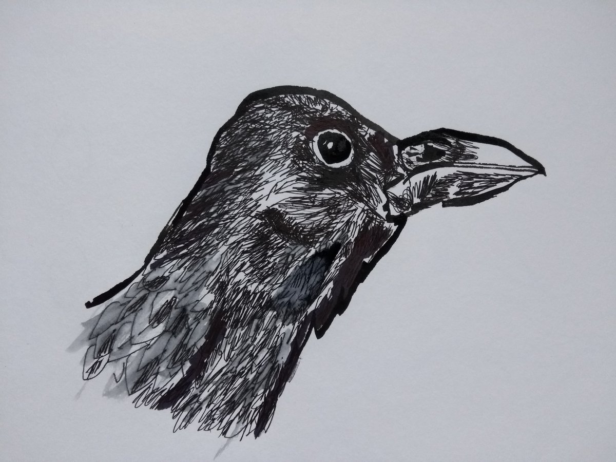 ScottSono's tweet photo. #RAdailydoodle found an outlet to get into the habit of daily #drawing @royalacademy join me! https://t.co/4yRJlX42cu
