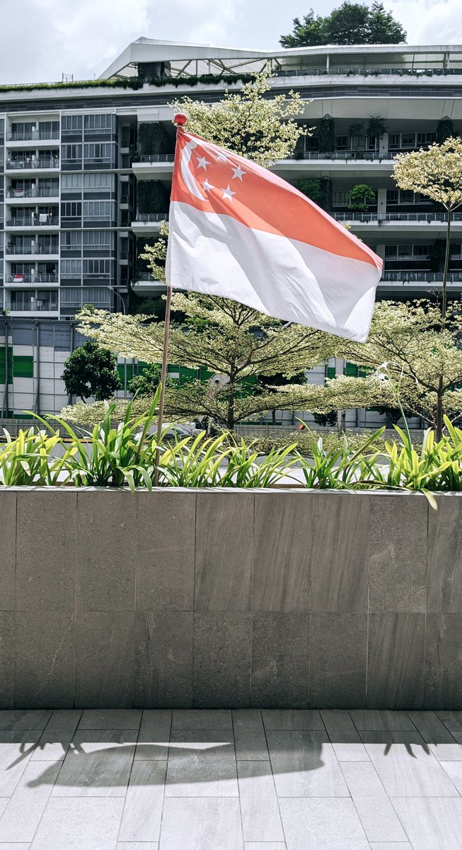Before the day is over, Happy 55th birthday to Singapore, the nation I call home ❤️🤍🇸🇬 #nationaldaysingapore #NationalDay2020