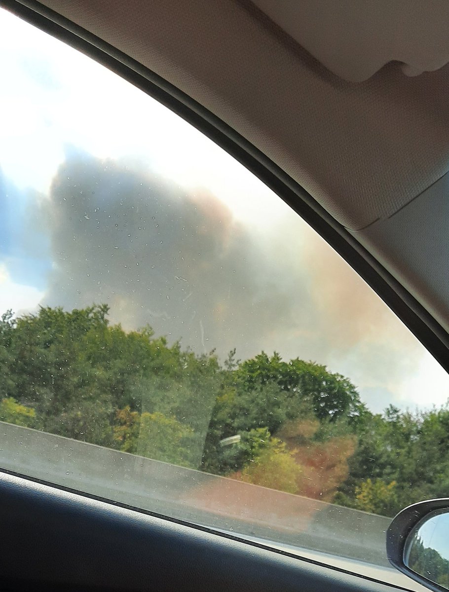 𝘑𝘰𝘦𝘺 ♡︎ tweet media