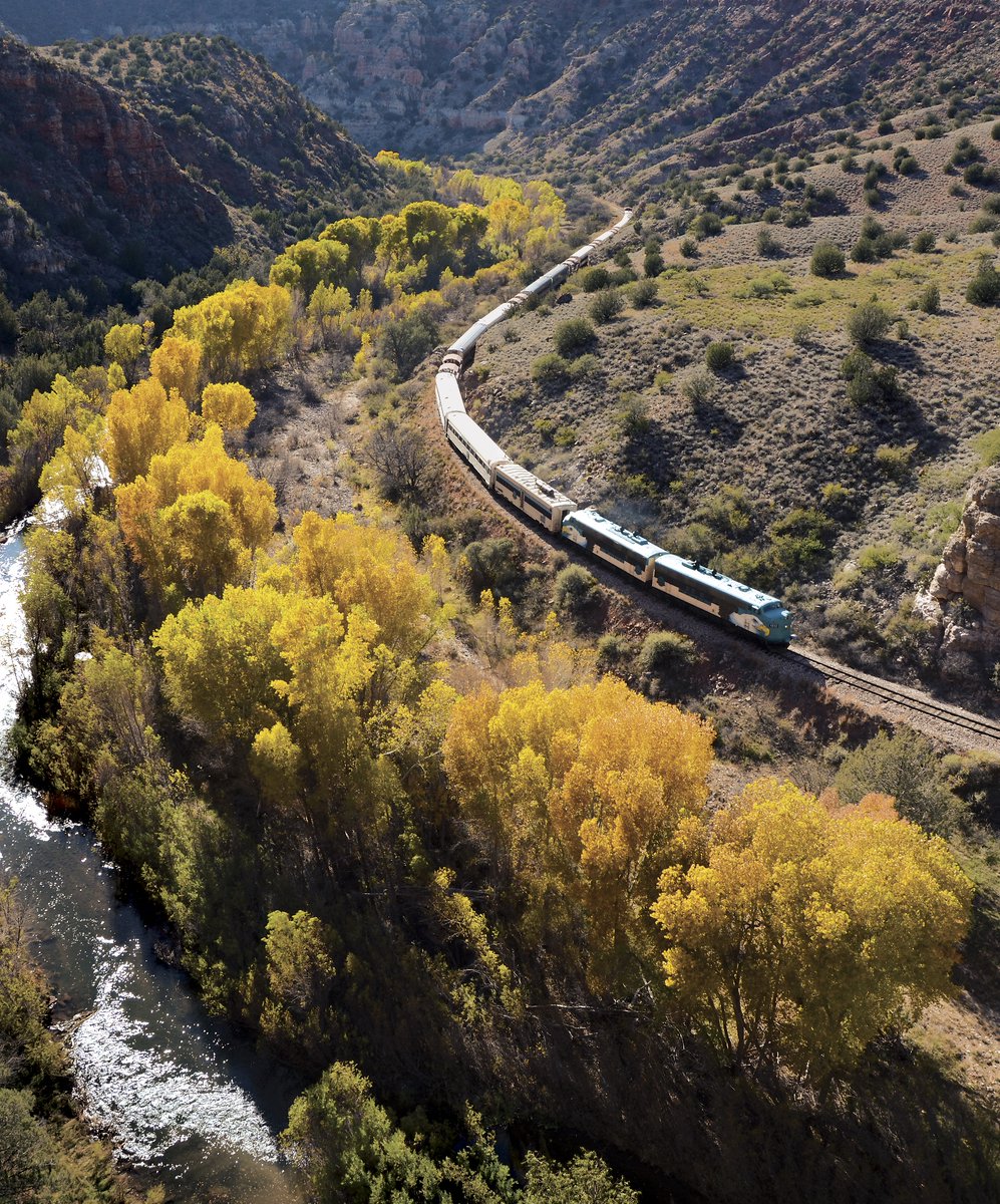 VerdeCanyonRail's tweet photo. #SundaySenses: Autumn is just around the bend at Verde Canyon Railroad, as summer fades and evenings grow chilly, this treasured riparian corridor transforms into a golden wonderland. #FallColorTours, mid-October through late November, provide thrills to all of the senses. https://t.co/vQ7n23saP6