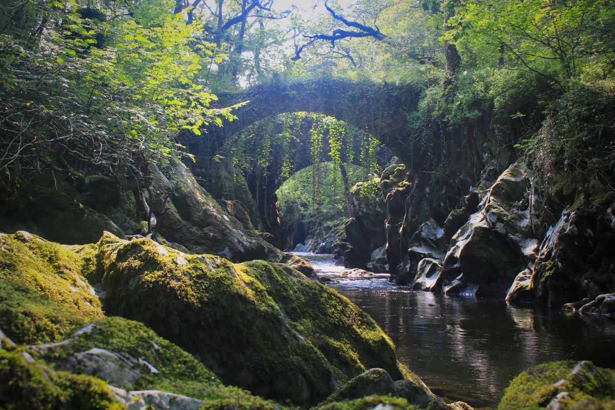 First day of holiday in North Wales, Fairy bridge ~ Penmachno. @Rosanna_B88 <a href="/Ruth_ITV/">Ruth_TV</a> <a href="/ItsYourWales/">It's Your Wales</a> <a href="/LlanrwstCymru/">Llanrwst Cymru</a> <a href="/SparLlanrwst/">McIlveen SPAR</a> <a href="/SparBetwsYCoed/">SparBetws-Y-Coed</a> <a href="/yoshaza/">sister mary 🤵🏼‍♀️🙏🏼✨</a>