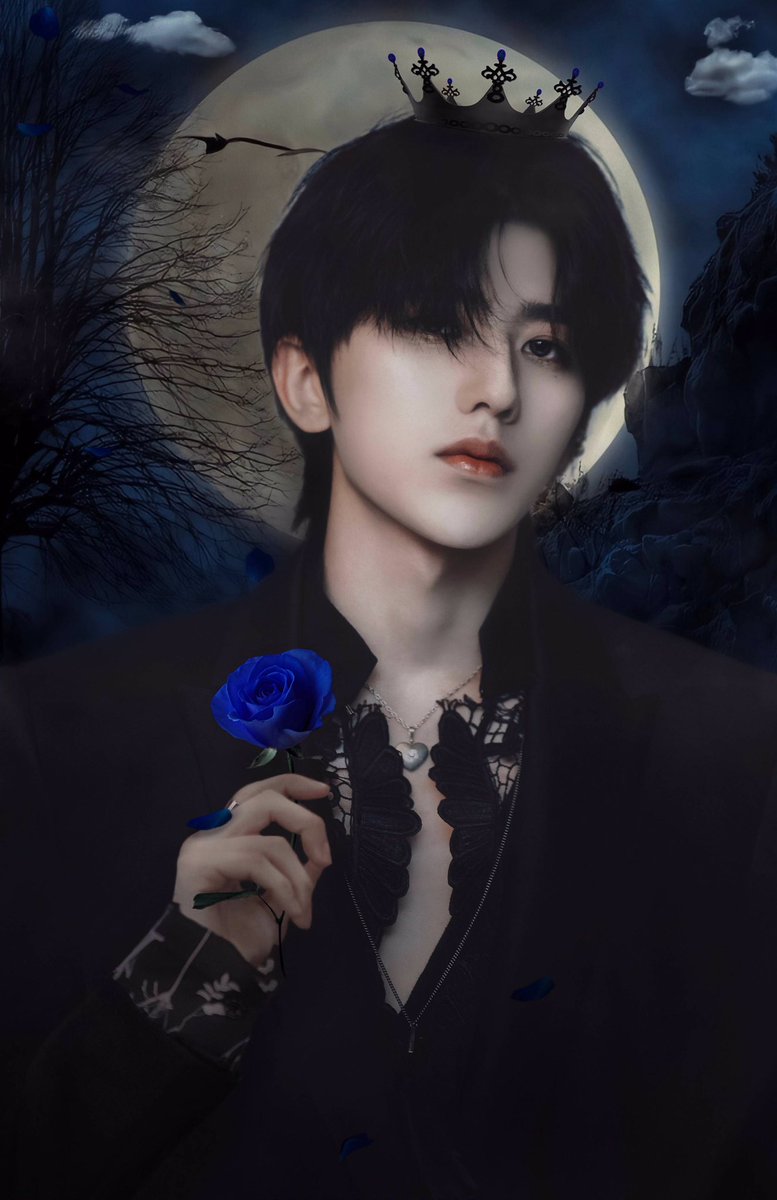 ☁️ 𝒔𝒕𝒂𝒓𝒍𝒊𝒈𝒉𝒕 🕊 tweet media