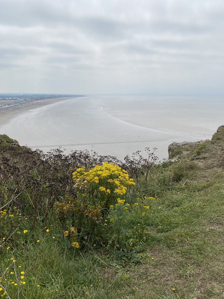 It’s a beautiful walk to and from the fort, across the Down, which has been under the management of the  @nationaltrust since 2002.  #walking  #Somerset  #History  #WW2  #SWW