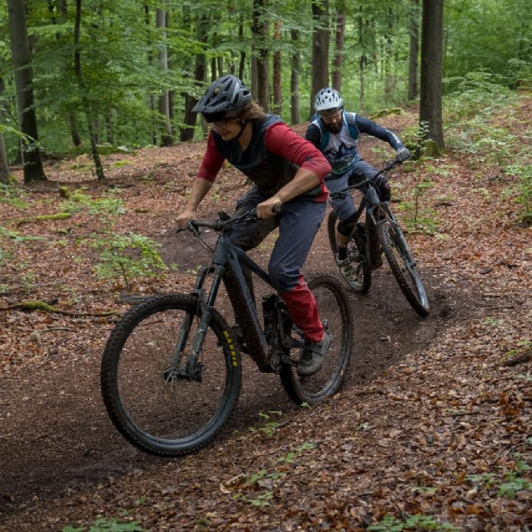 mtb focus 26