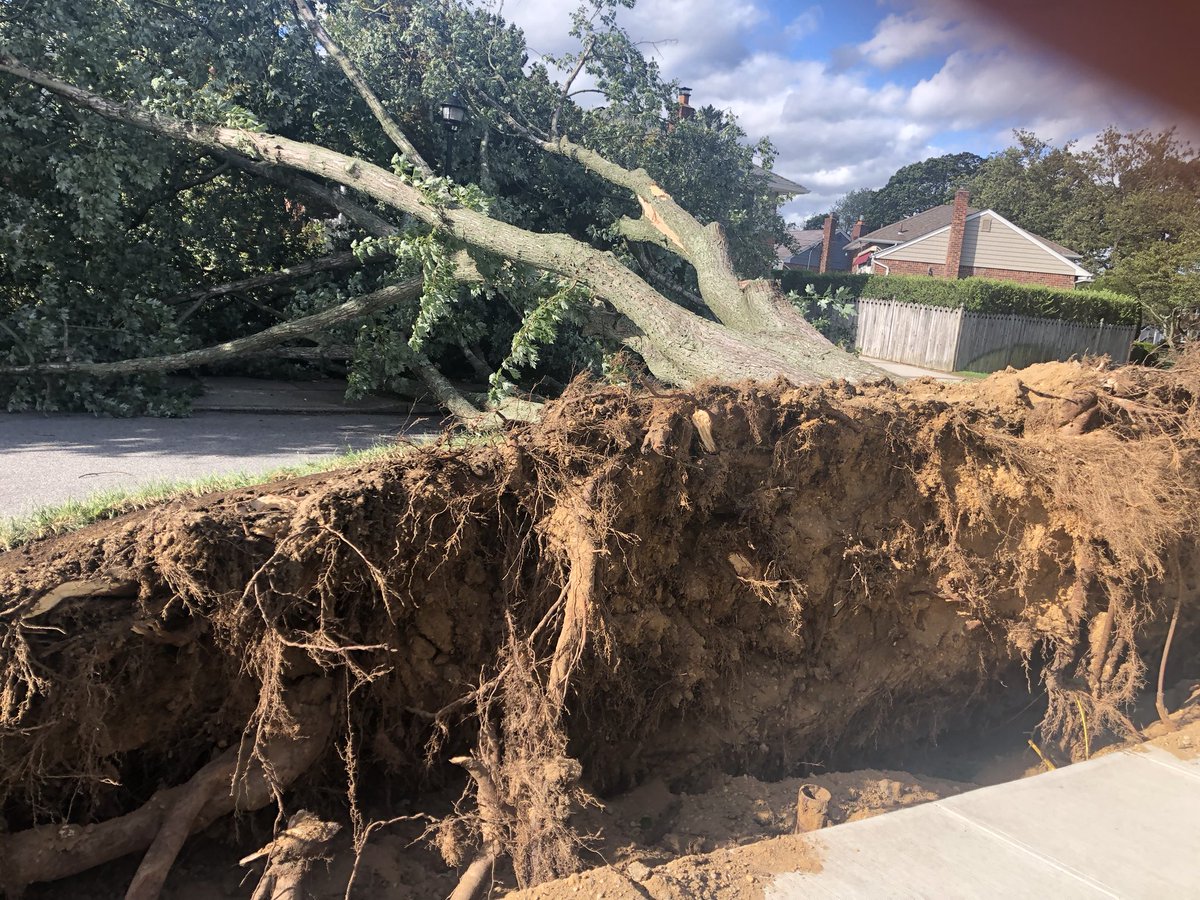 jennydatt's tweet photo. Hi @TOHClavin TOH needs to remove tree that fell during storm b/c it ripped out gas line and @nationalgrid won’t restore until tree is removed. Let’s clean this up! My neighbor can’t afford to eat out every day. Nearly a week later after the storm! https://t.co/IZCQ28r2yP