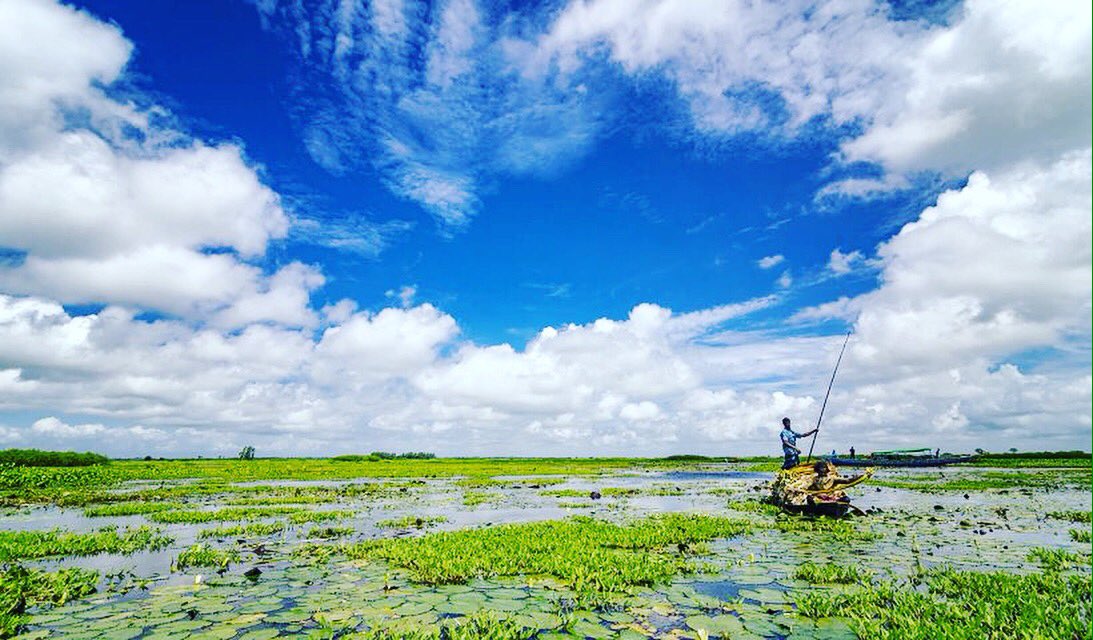 JourneyTobd's tweet photo. #clear #awesome #weather #waterlily #nature #view from #arialbil #munshiganj #dhaka #bangladesh 🇧🇩 https://t.co/GE49K7Fug3