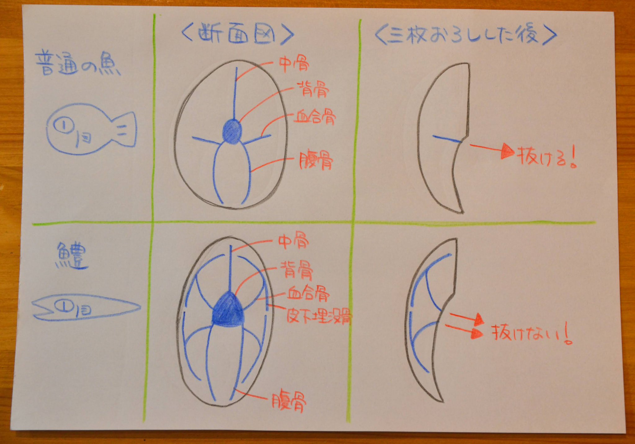 Kentaro Hara Pa Twitter 鱧の骨格構造を理解しましょう 3枚おろしにしたあと普通の魚は血合骨 を引っ張って抜けばokですが 鱧の場合 血合骨と皮下埋没骨がy字型につながっているので 血合骨を引っ張るだけではy字型の骨が抜けないんですよ これが問題 Kentaro Hara Pa Twitter 鱧の骨格構造を理解しましょう 3枚おろしにしたあと普通の魚は血合骨 を引っ張って抜けばokですが 鱧の場合 血合骨と皮下埋没骨がy字型につながっているので 血合骨を引っ張るだけではy字型の骨が抜けないんですよ これが問題