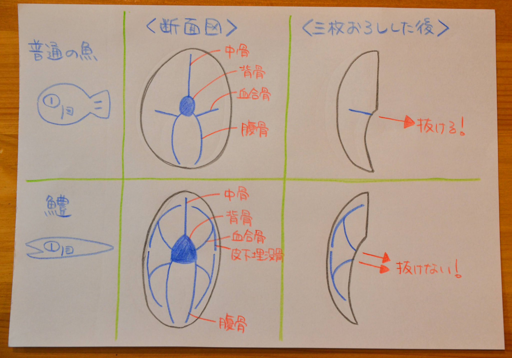 Kentaro Hara Pa Twitter 鱧の骨格構造を理解しましょう 3枚おろしにしたあと普通の魚は血合骨 を引っ張って抜けばokですが 鱧の場合 血合骨と皮下埋没骨がy字型につながっているので 血合骨を引っ張るだけではy字型の骨が抜けないんですよ これが問題