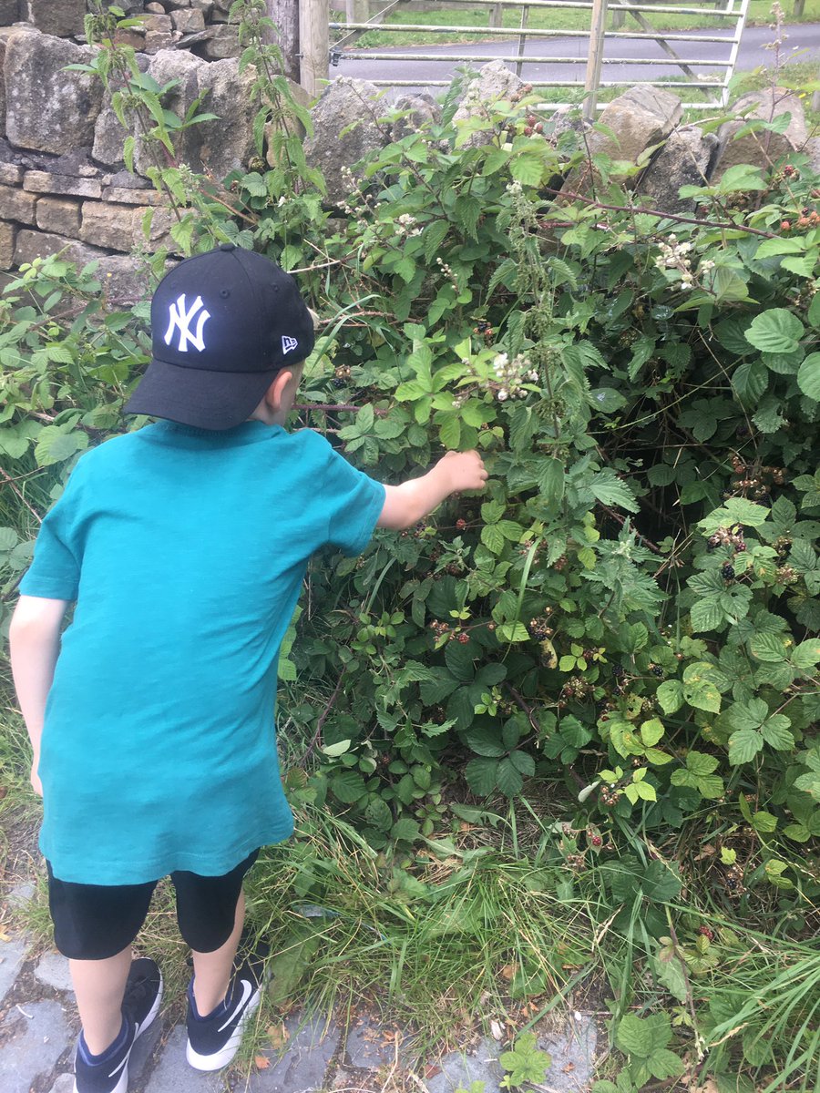 Brook2006Gail's tweet photo. Another beautiful walk around Honley with my mum and Sam. Amazing view of Castle Hill, blackberry picking and adding miles to #onetrustchallenge @BirstallAcad @FocusTrust1 https://t.co/lGotPZNDrq
