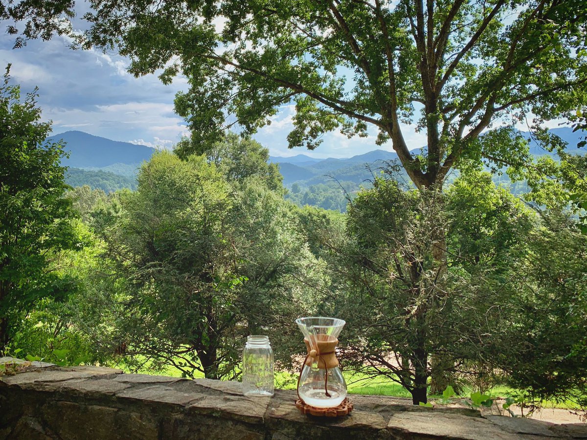 natural_wanders's tweet photo. Scenes from yesterday’s virtual #forestbathing experience. Join me every Saturday this month for some self-care and communi-tea while learning to see the beauty in your own backyard. Cheers! ✨☕️✨ https://t.co/yoxeCu6tUh https://t.co/LQX5HEvubX