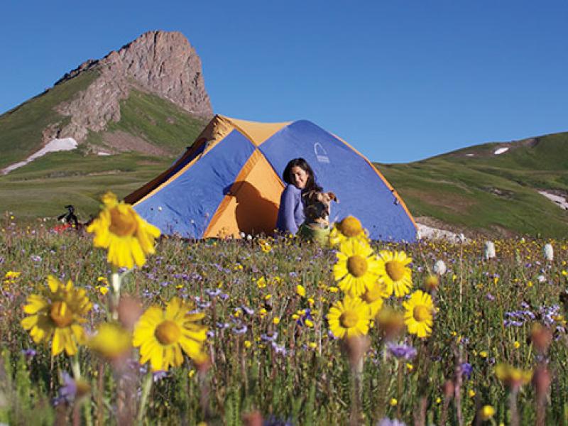 CorkenCo's tweet image. Running out of ideas to enjoy the Colorado outdoors this summer? New to town? Go back to basics with 10 Top Colorado Summer Activities from Colorado Info at coloradoinfo.com/colorado-summer #coloradorealtor #coloradorealestate #coloradosummer #summer #colorado #outdoors #coloradooutdoors