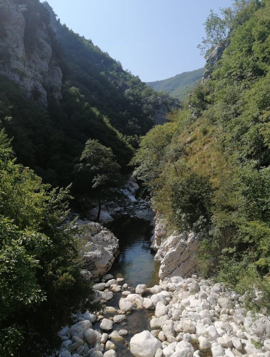 ClotildeDuRoy's tweet image. Le forre di Lavello sono site al confine fra i comuni di Cerreto Sannita e Cusano Mutri dove il corso del fiume #Titerno, nei millenni, ha creato uno stretto canyon fra i monti Erbano e Cigno, il cosiddetto "Lavello".

#ForreDiLavello #Matese