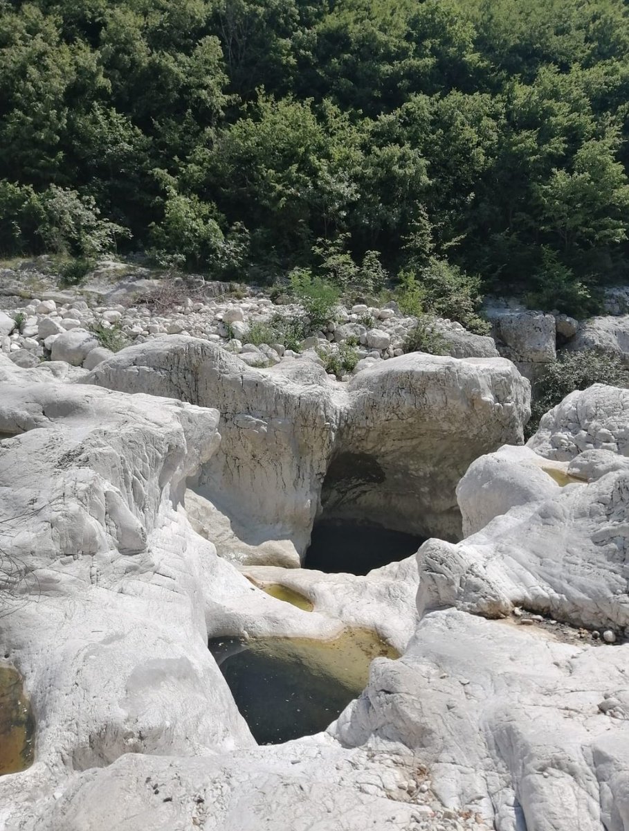 ClotildeDuRoy's tweet image. Le forre di Lavello sono site al confine fra i comuni di Cerreto Sannita e Cusano Mutri dove il corso del fiume #Titerno, nei millenni, ha creato uno stretto canyon fra i monti Erbano e Cigno, il cosiddetto "Lavello".

#ForreDiLavello #Matese