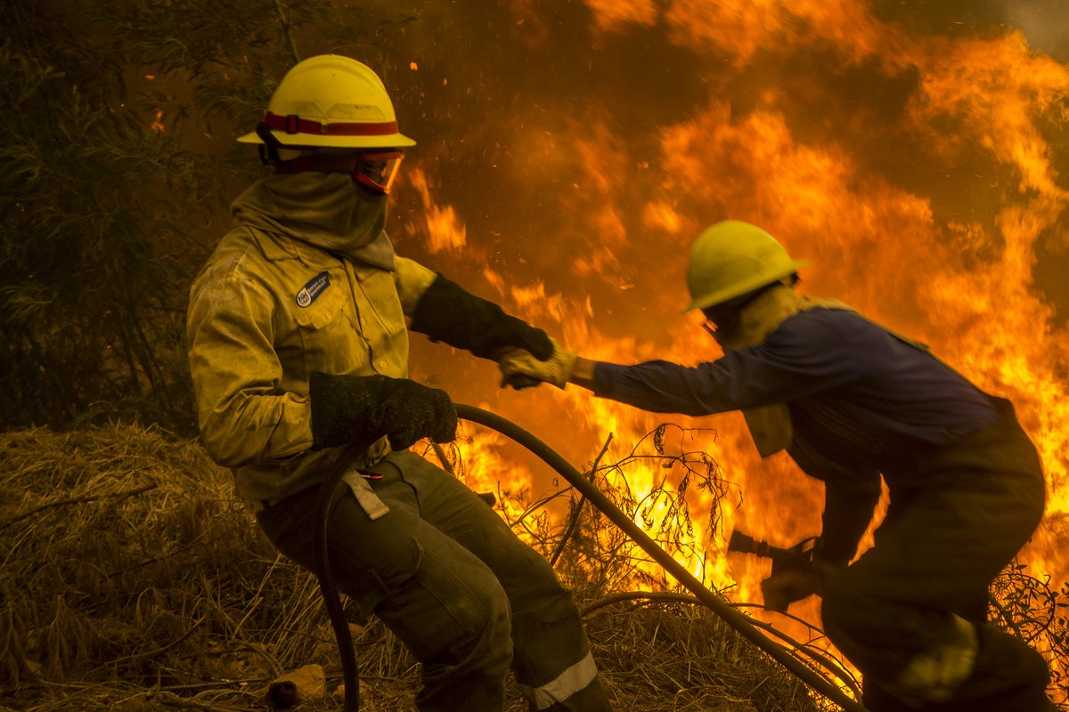 TheSmokeyGeneration tweet media