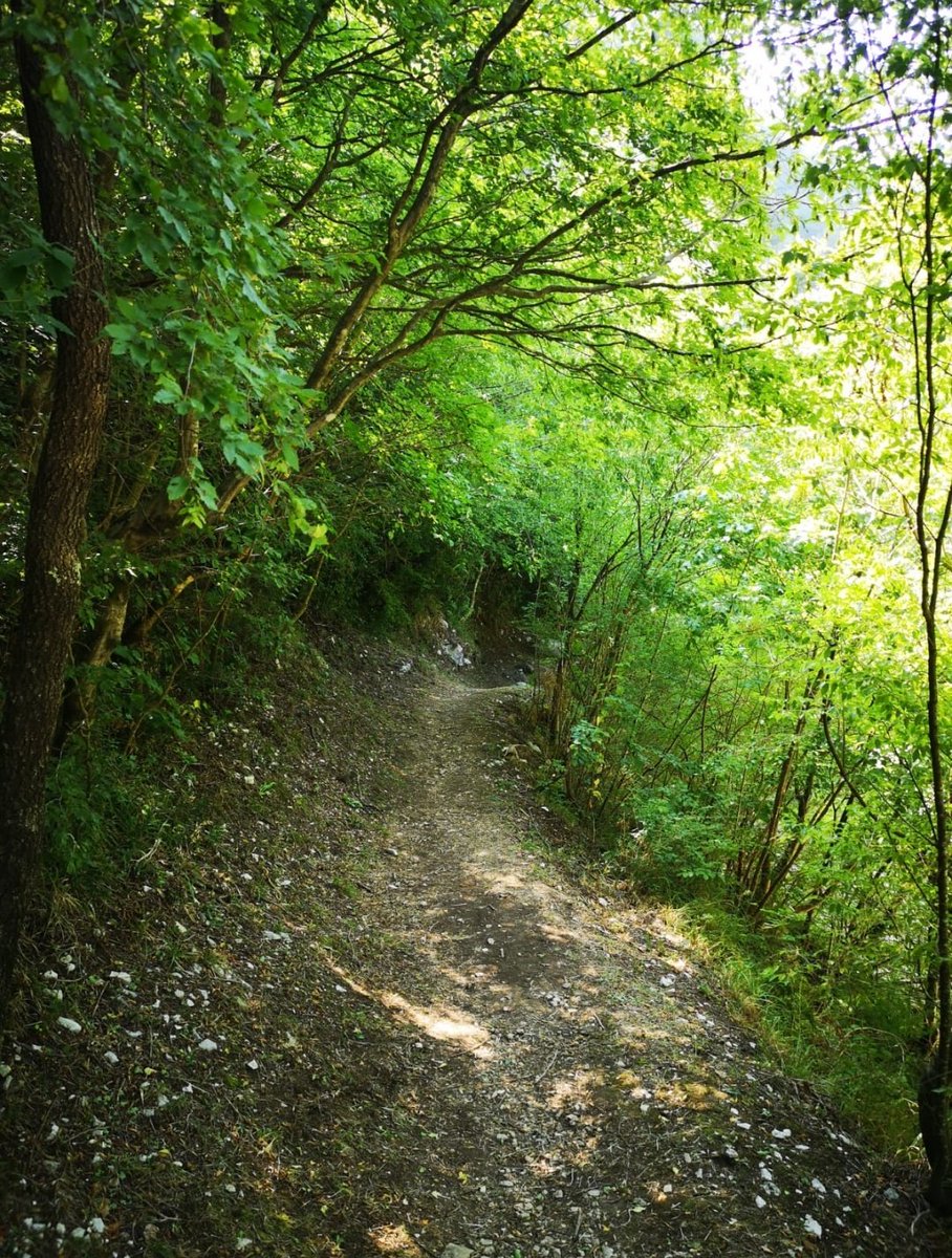 ClotildeDuRoy's tweet image. Le forre di Lavello sono site al confine fra i comuni di Cerreto Sannita e Cusano Mutri dove il corso del fiume #Titerno, nei millenni, ha creato uno stretto canyon fra i monti Erbano e Cigno, il cosiddetto "Lavello".

#ForreDiLavello #Matese