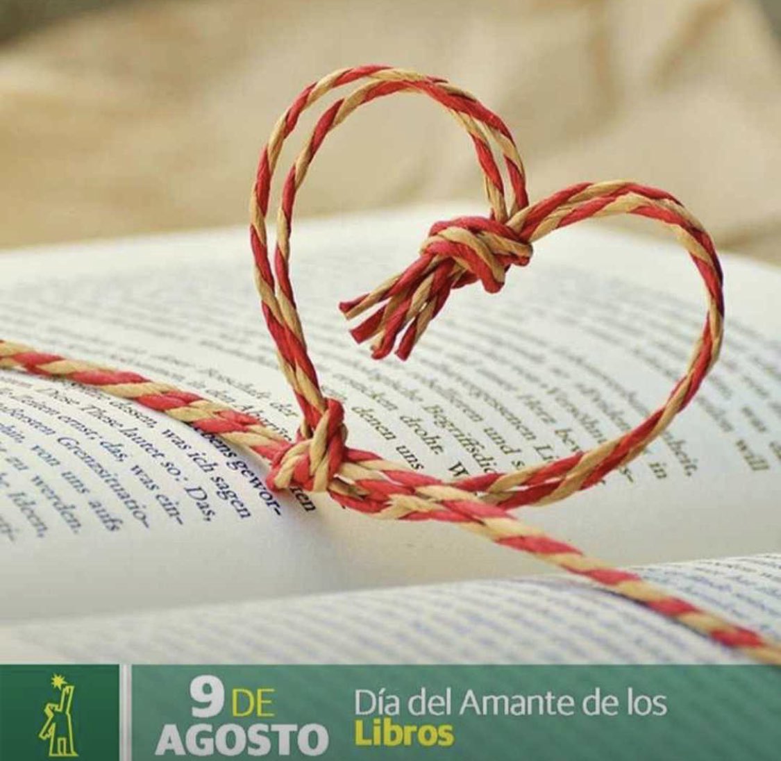 MayerlinP19's tweet photo. Amante, Feliz Día 🥂 https://t.co/V2zkNNzZia