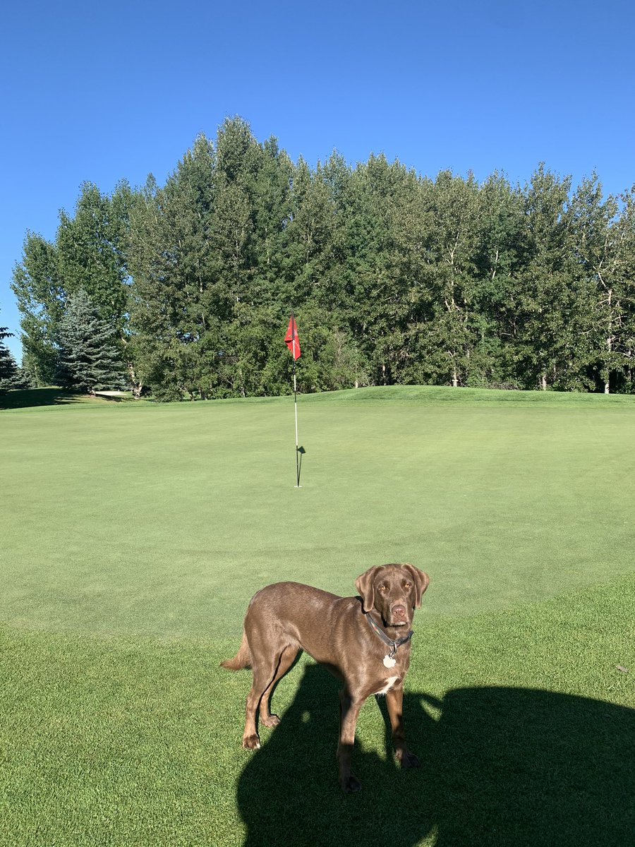 Geoff Strelow (@geoffstrelow) on Twitter photo Heavy frost on final day of club champs <a href="/ElbowSprings/">Elbow Springs GC</a> . Kudos to our team for getting everything ready for play! Let’s hope this August frost doesn’t become a regular occurrence Heavy frost on final day of club champs <a href="/ElbowSprings/">Elbow Springs GC</a> . Kudos to our team for getting everything ready for play! Let’s hope this August frost doesn’t become a regular occurrence