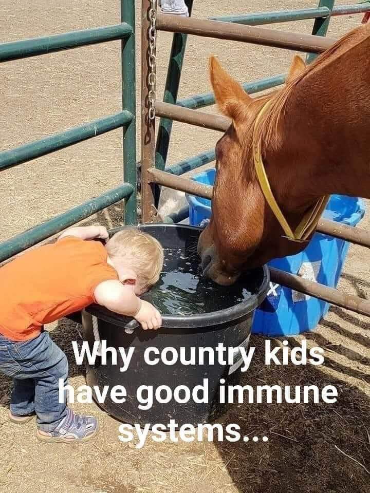 Boerderij kinderen 💪🏻😂👍