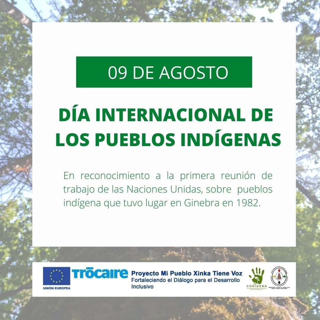 PAPXIGUA's tweet photo. Según las Naciones Unidas, los pueblos indígenas albergamos el 80% de la biodiversidad del mundo y podemos enseñar a reequilibrar la relación con la naturaleza y riesgos de futuras pandemias. 

#PuebloXinkaGuatemala #ParlamentoXinka #ProyectosUE #CODIDENA https://t.co/OHStEiv4ZL