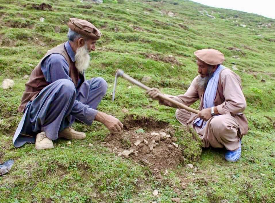 aminattock's tweet photo. The nation becomes one under #10BillionTreeTsunami as the young and the old #PlantWithTigersForce - heeding to the #GreenCall of #PMIK @ImranKhanPTI https://t.co/CfokX5EiCl