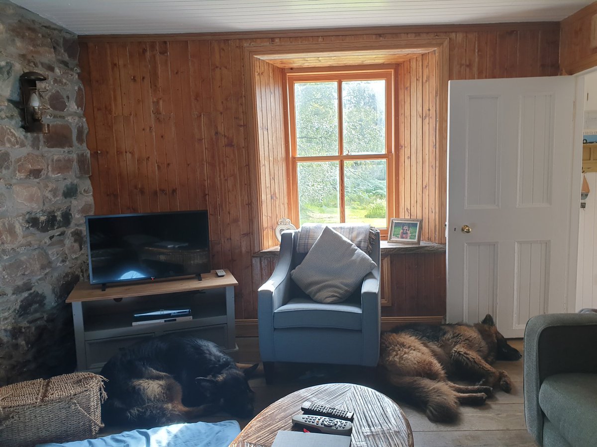 SolartheGSD's tweet photo. Afternoon kip for me and @OceantheGSD https://t.co/ikax2rBGSB