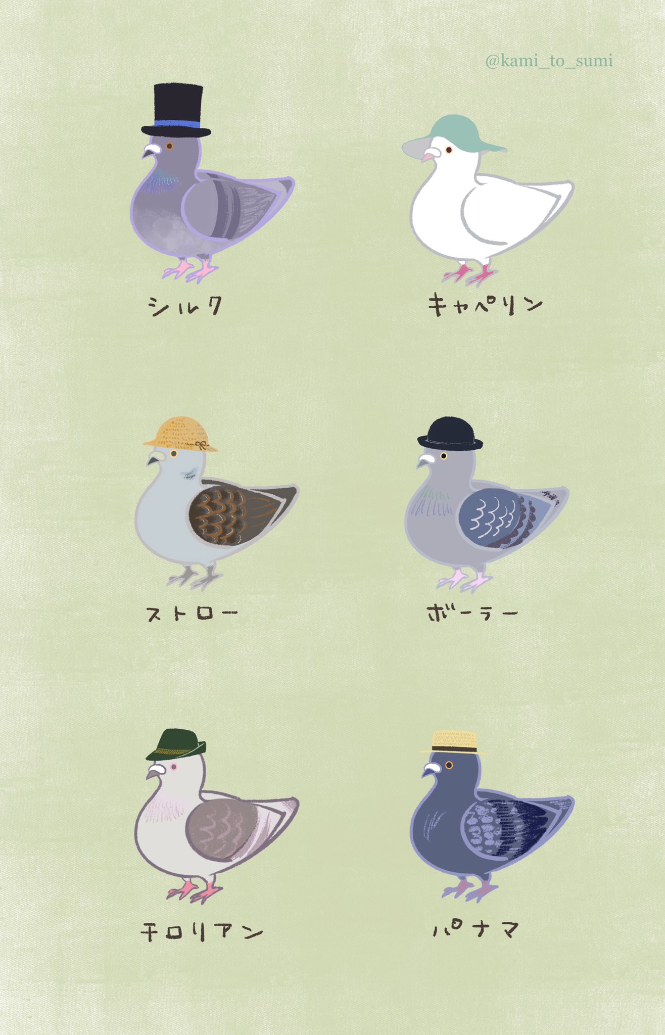 تويتر かみとすみ Illustrator على تويتر いろんなハット ハトの日 鳩の日 ジークピジォン ハト 鳩 キジバト 山の日 ヤマバト ドバト アオバト クジャクバト イラスト Illustration Pigeons T Co Phi6ftprml