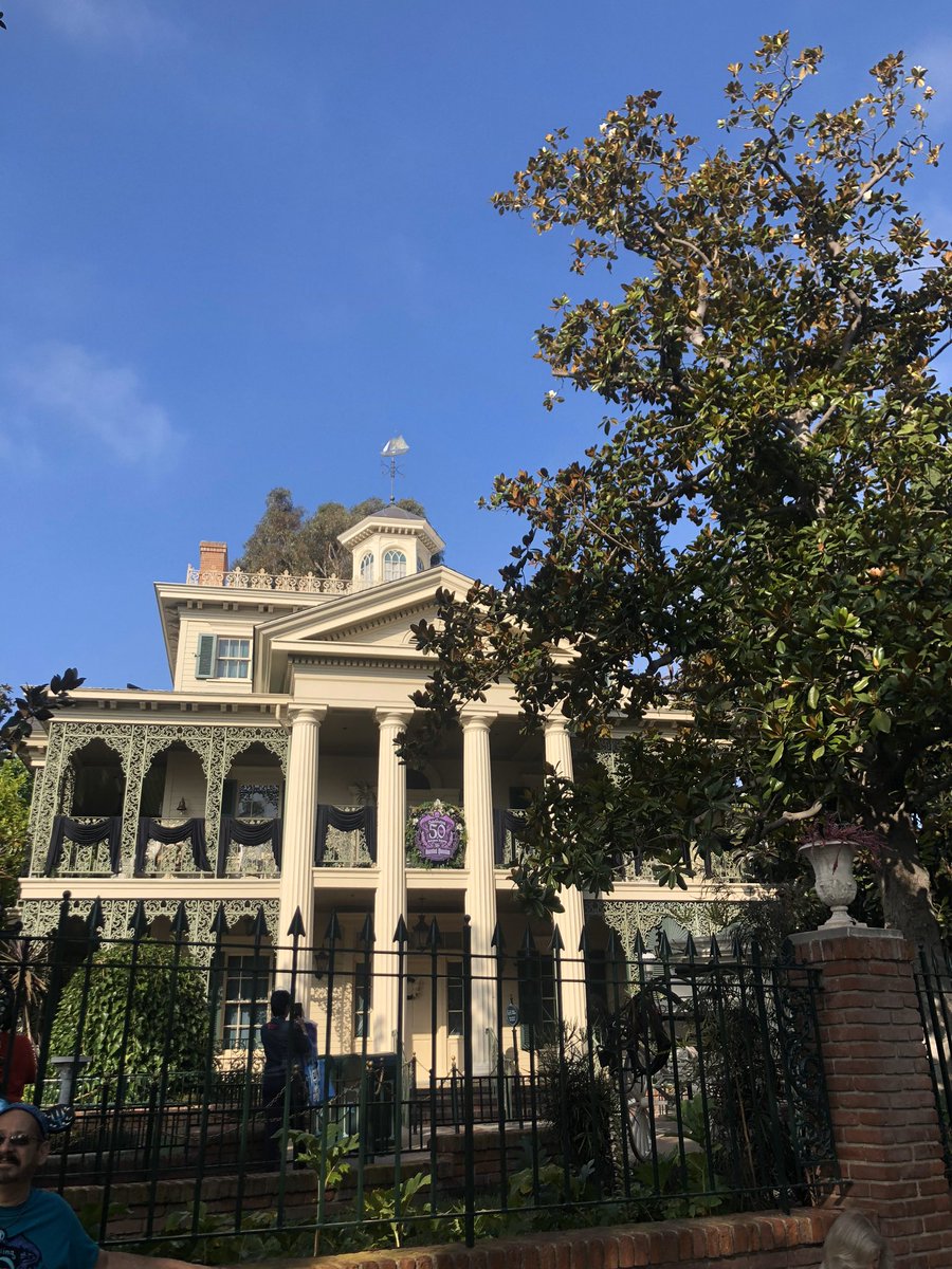 °o° Tara °o° tweet media