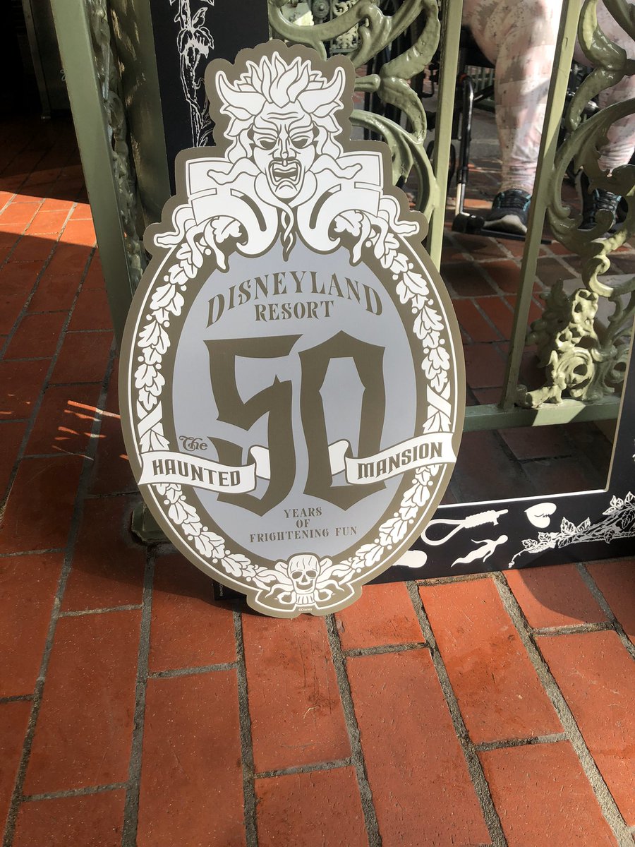 °o° Tara °o° tweet media