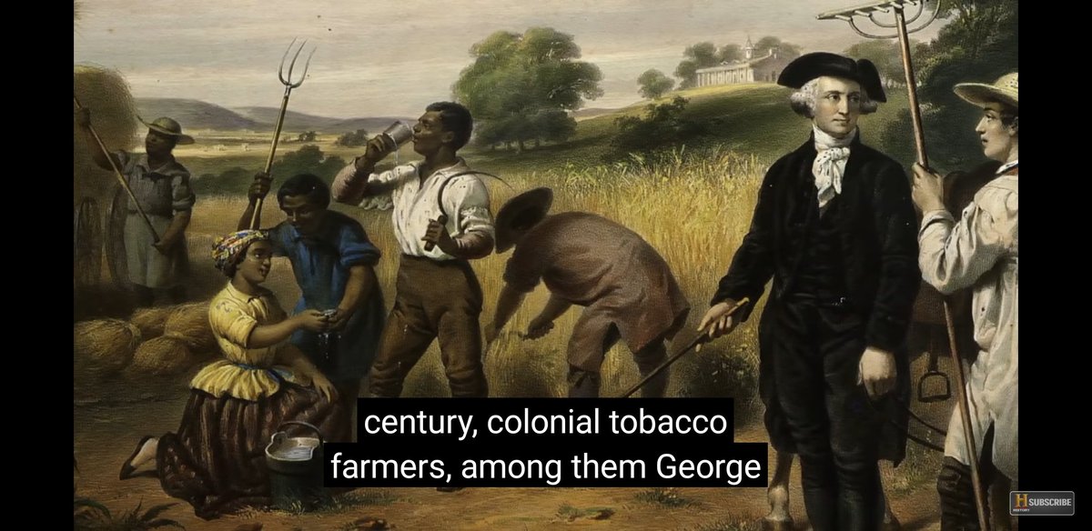 BroGitmo's tweet photo. 🍿🕚:  How Tobacco Is Made 🤔
https://t.co/7gcojbzuca https://t.co/GIRO1jVurA